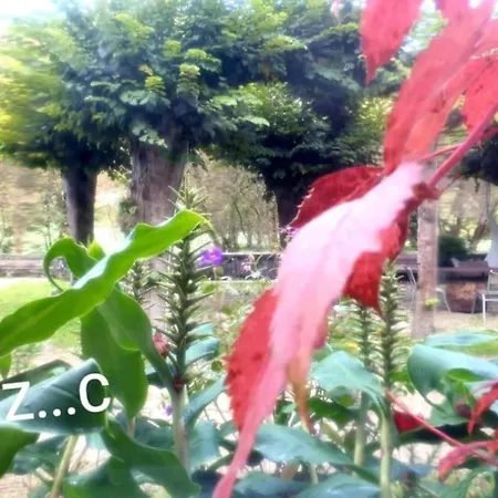 Zentral Club Neutron-jacuzzi Apartment *